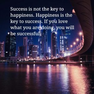 Success is not the key to happiness